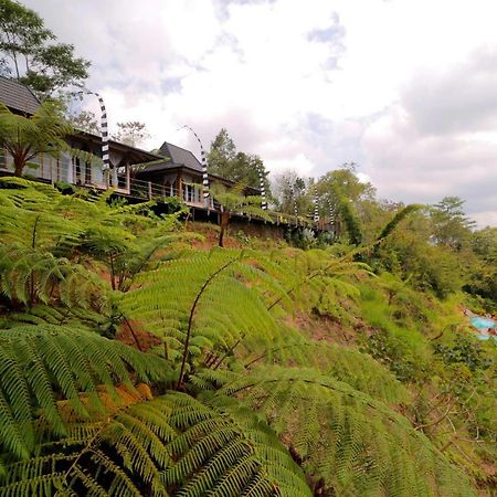 The Bejalin Eco Retreat Hotel Plaga Eksteriør billede